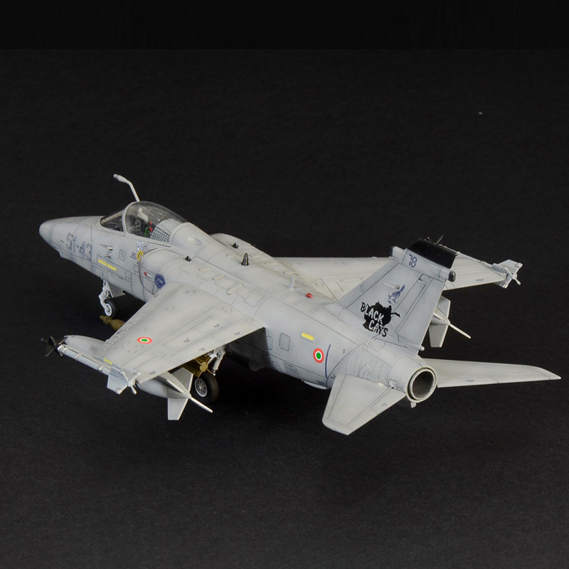 イタレリ IT1460 1/72 AMX シングルシーター戦 - Model Kit Hobby のレビューと価格